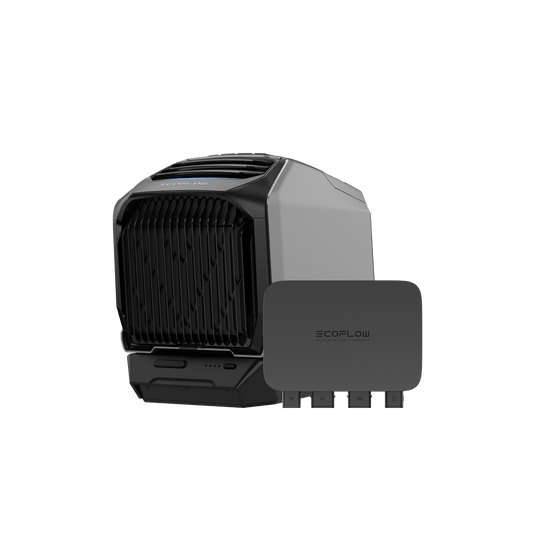 Chargeur de batterie de voiture EcoFlow (800&nbsp;W) Chargeur de batterie de voiture + DELTA 2 Max