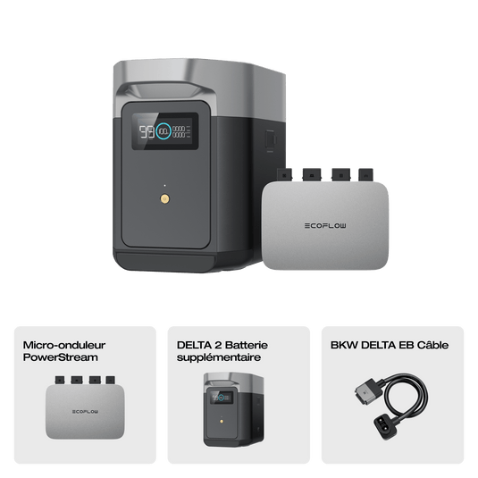 Batterie intelligente suppl&eacute;mentaire pour EcoFlow DELTA 2 Batterie suppl&eacute;mentaire DELTA 2 + Micro-onduleur PowerStream 800 W (C&acirc;ble de batterie inclus)
