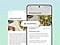 L&rsquo;application Samsung Internet est ouverte sur un &eacute;cran de Galaxy S24 FE, affichant une page de recette de salade de p&acirc;tes. Le texte est r&eacute;sum&eacute; sous forme de liste &agrave; puces via Galaxy AI. La page d&rsquo;origine est visible &agrave; gauche de l&rsquo;&eacute;cran du Galaxy S24 FE. Le logo Galaxy AI avec le texte &laquo;&nbsp;R&eacute;sum&eacute;&nbsp;&raquo; est superpos&eacute; sur les pages originales et r&eacute;sum&eacute;es.