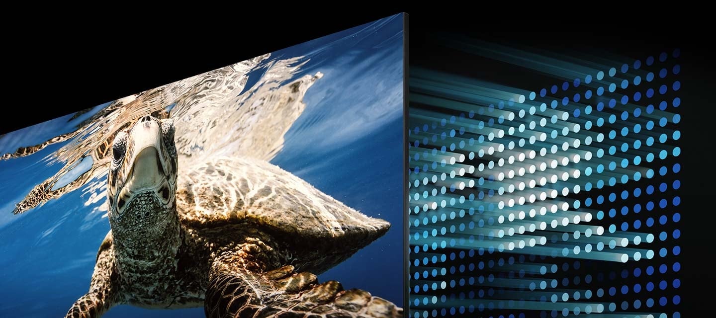 Les zones concentr&eacute;es de LED contr&ocirc;l&eacute;es avec pr&eacute;cision affichent des noirs ultra profonds et des blancs purs pour vous permettre de profiter d&rsquo;un contraste &agrave; couper le souffle.