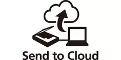 5.webp