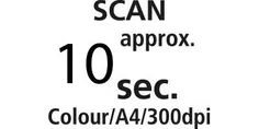 8.webp