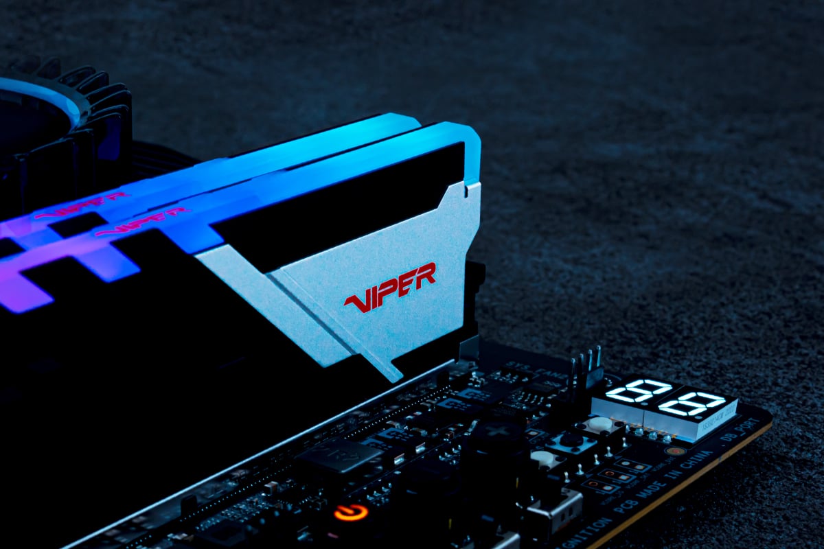 Viper Venom RGB & Non-RGB DDR5 Mémoire