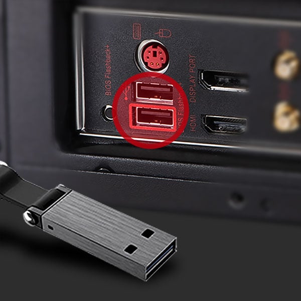 Insert dongle with BIOS file