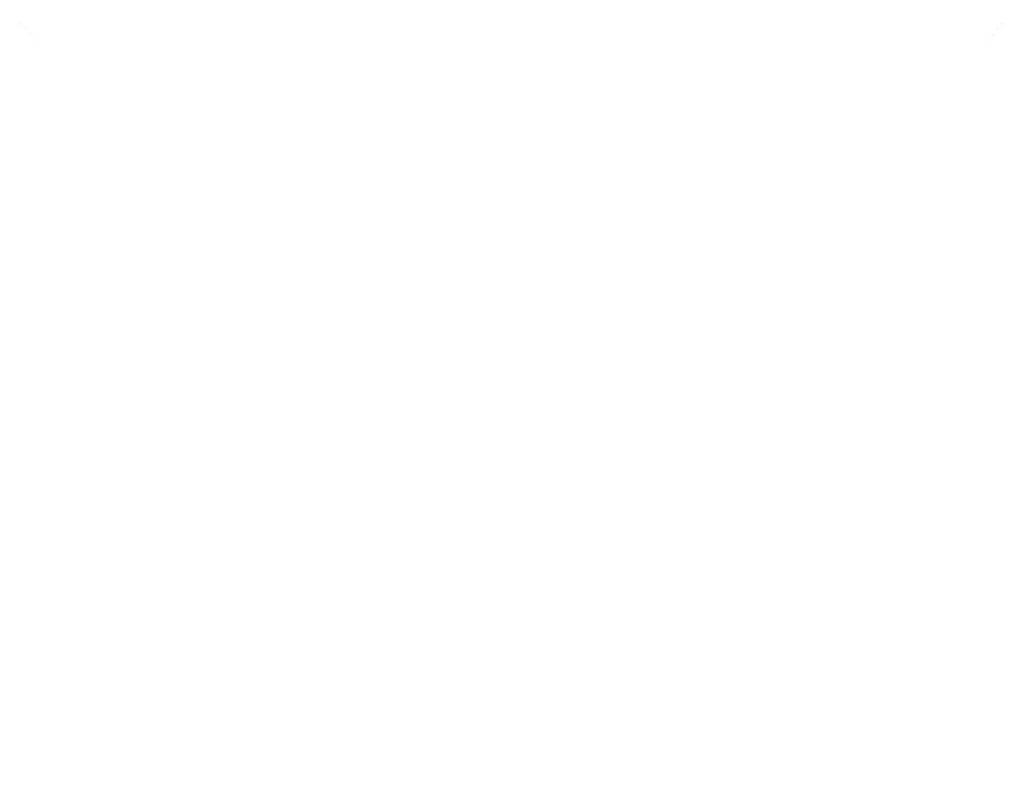 PRO MP251