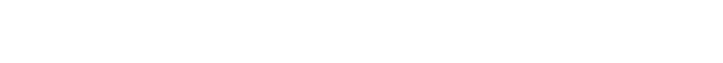 PRO MP251W E2