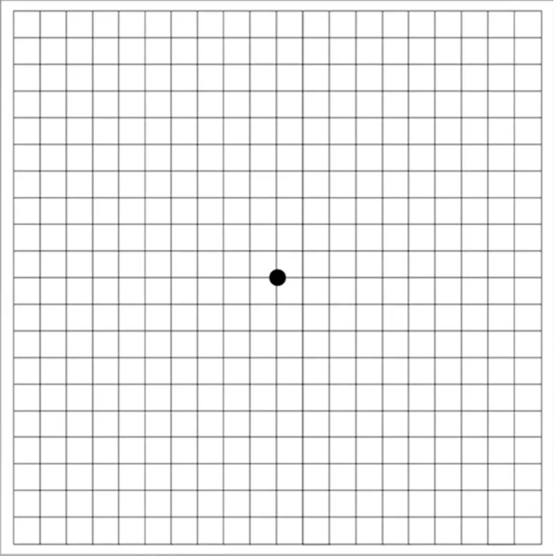 Amsler Grid