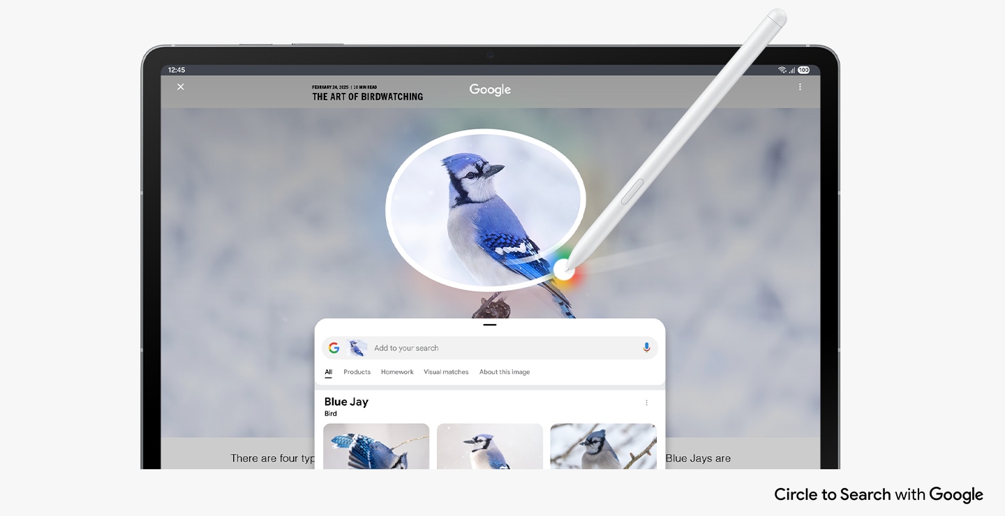 Cercle pour rechercher avec Google utilisé à l'écran avec le S Pen sur l'image d'un geai bleu. Les résultats de recherche Google affichent des détails sur l'image. Cercle pour rechercher avec le logo Google affiché.