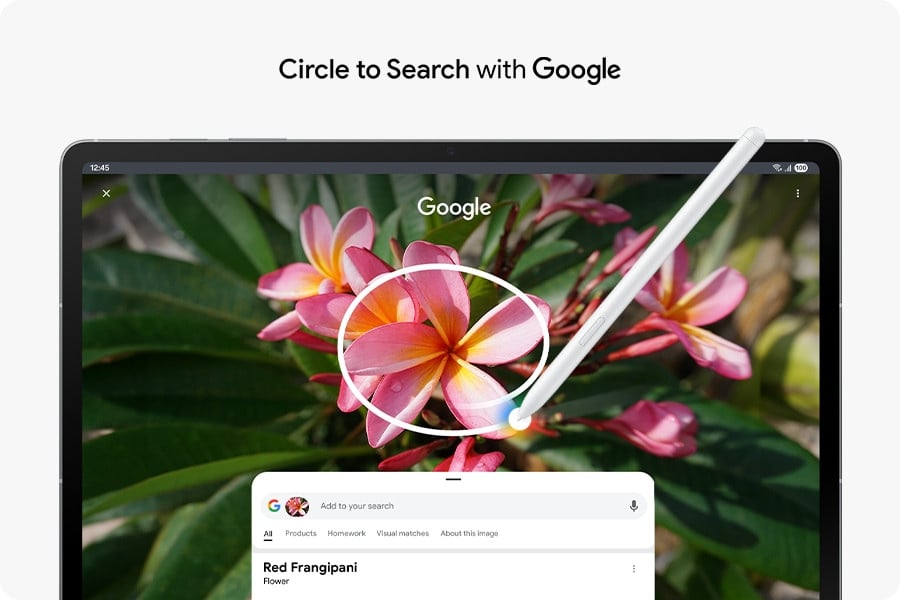 Recherche Google en cercle sur la Galaxy Tab S10 FE+ avec S Pen, sur une image de frangipanier rouge. Les résultats de recherche Google affichent des détails sur l'image. Recherche Google en cercle avec le logo Google affiché.