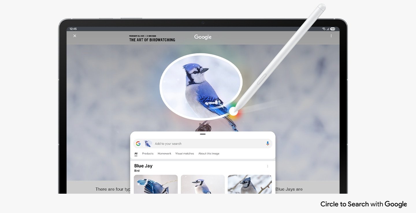 Cercle pour rechercher avec Google utilisé à l'écran avec le S Pen sur l'image d'un geai bleu. Les résultats de recherche Google affichent des détails sur l'image. Cercle pour rechercher avec le logo Google affiché.
