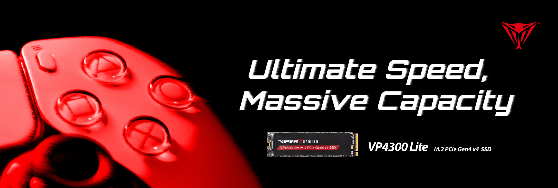VP4300 Lite M.2 PCIe Gen4 x4 SSD de jeu