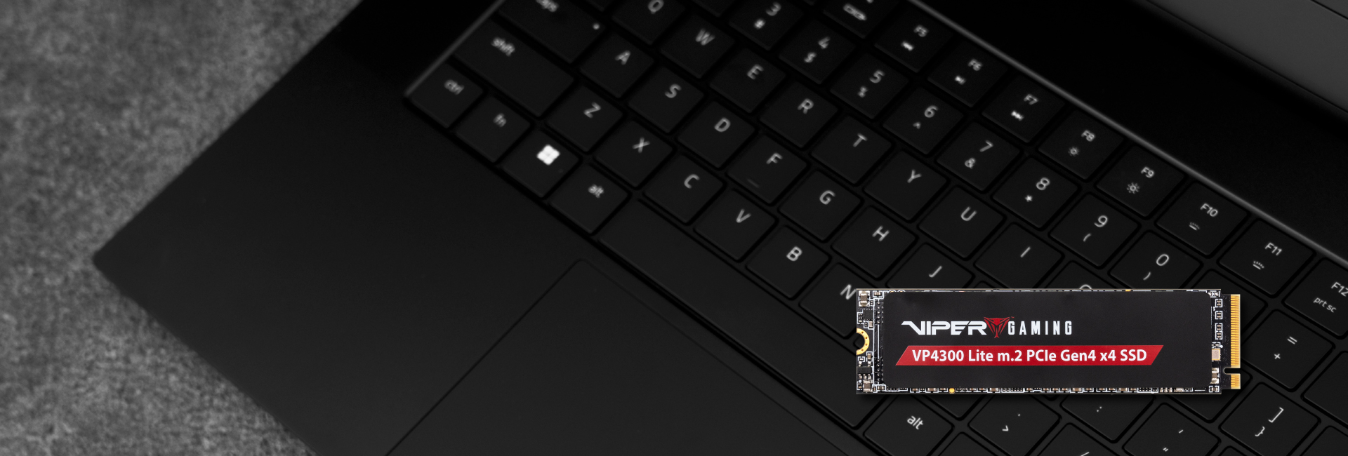 VP4300 Lite M.2 PCIe Gen4 x4 SSD de jeu