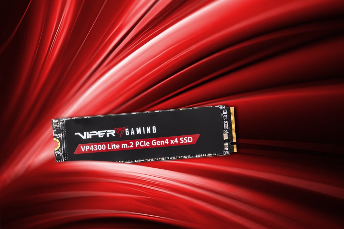 VP4300 Lite M.2 PCIe Gen4 x4 SSD de jeu