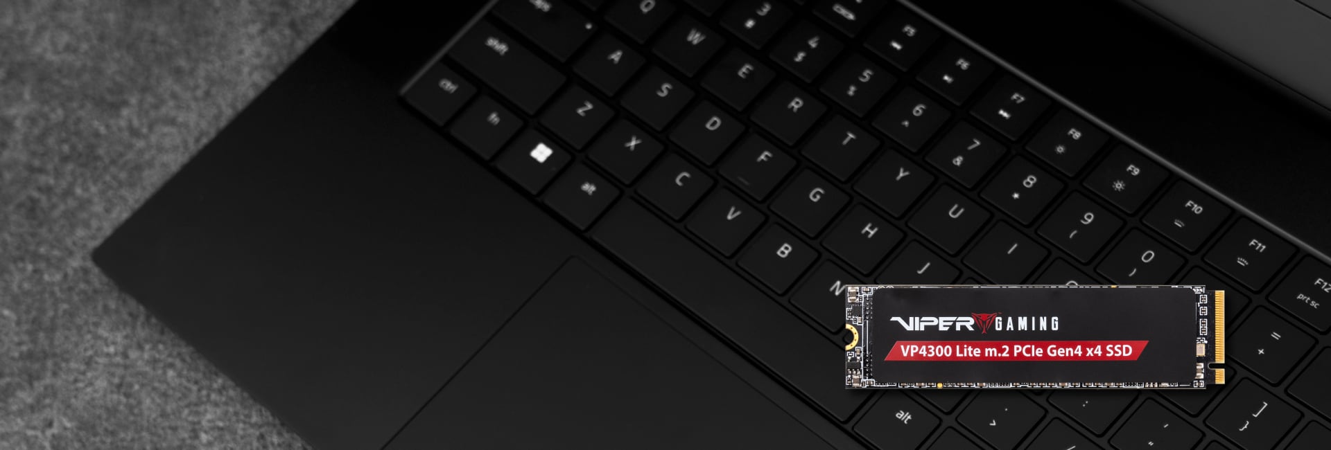 VP4300 Lite M.2 PCIe Gen4 x4 SSD de jeu
