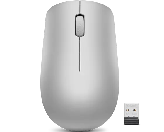 Souris sans fil Lenovo 530 (Gris platine)