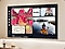 A TV screen displays the Samsung Art Store, which shows several different options for paintings.