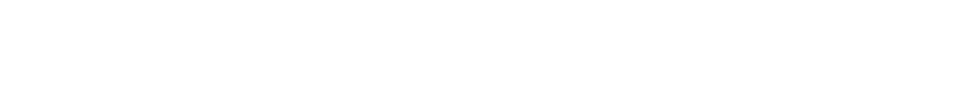 PRO MP251 E2