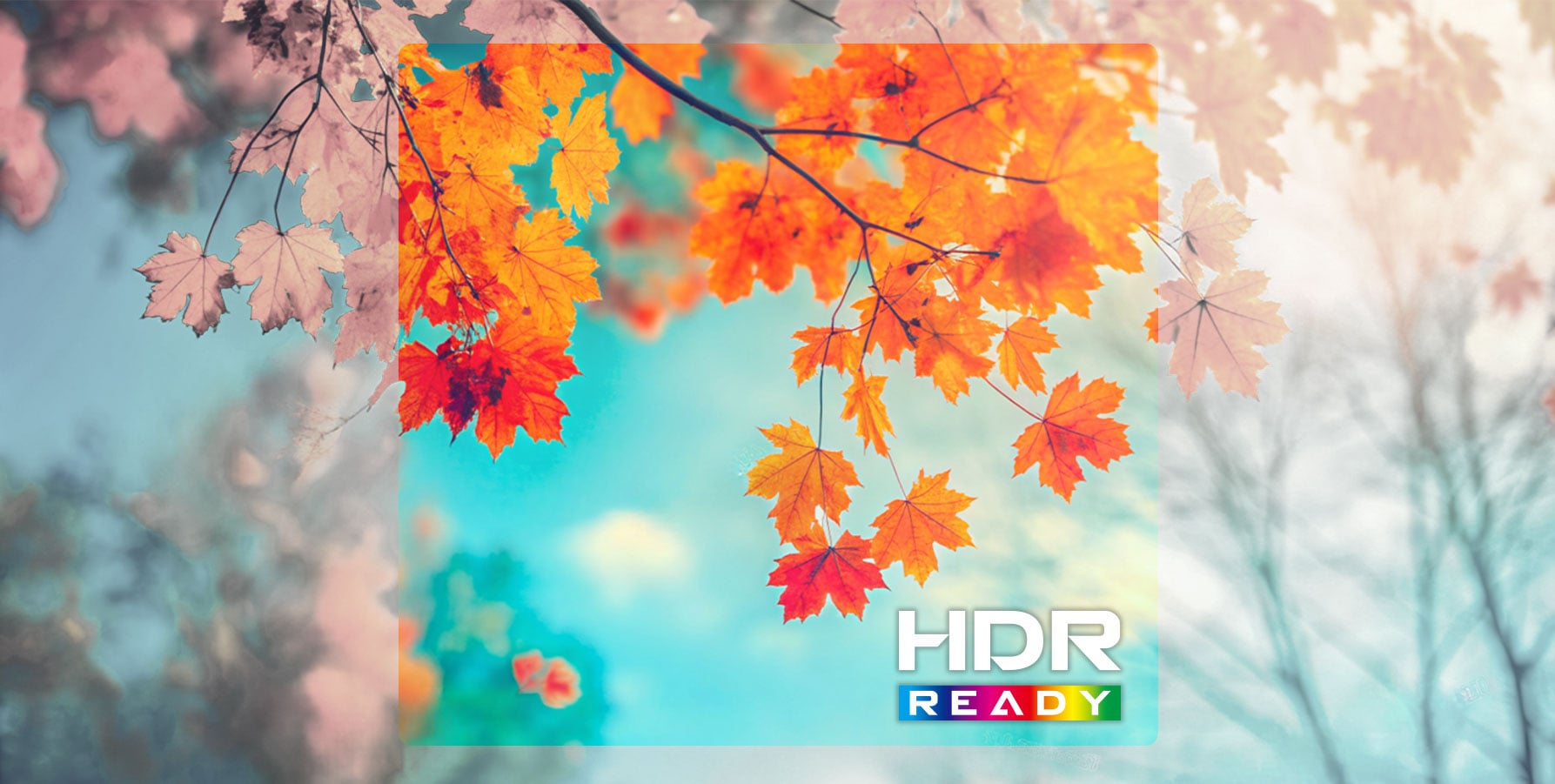 Prêt pour le HDR