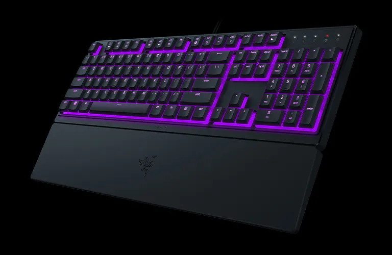 Powered By Razer Chroma&trade; RGB