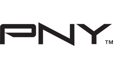 IRIS Logo