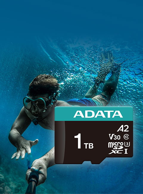 YOUR GO-ANYWHERE MEMORY CARD