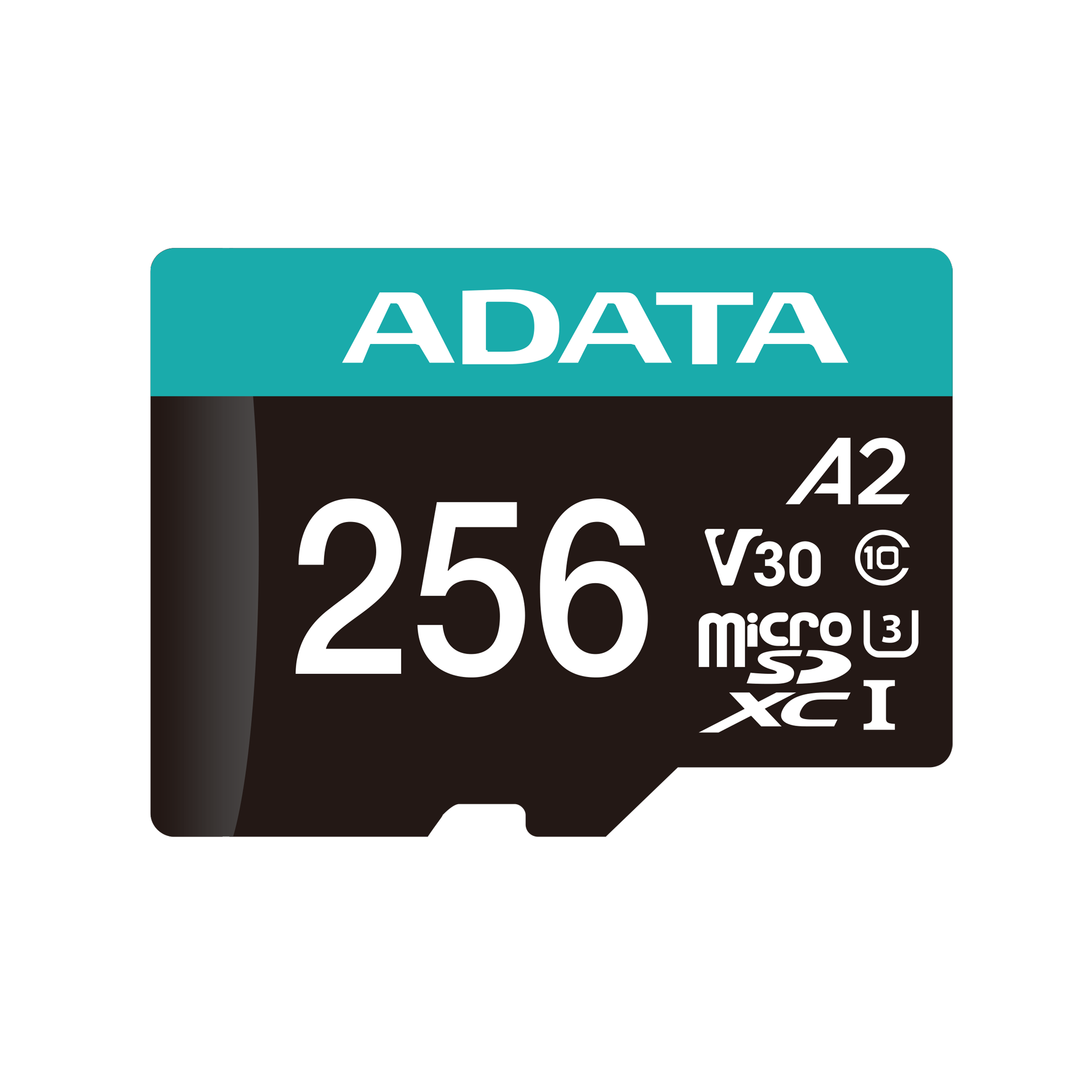 Premier Pro microSDXC/SDHC UHS-I U3 Class 10(V30S)--3