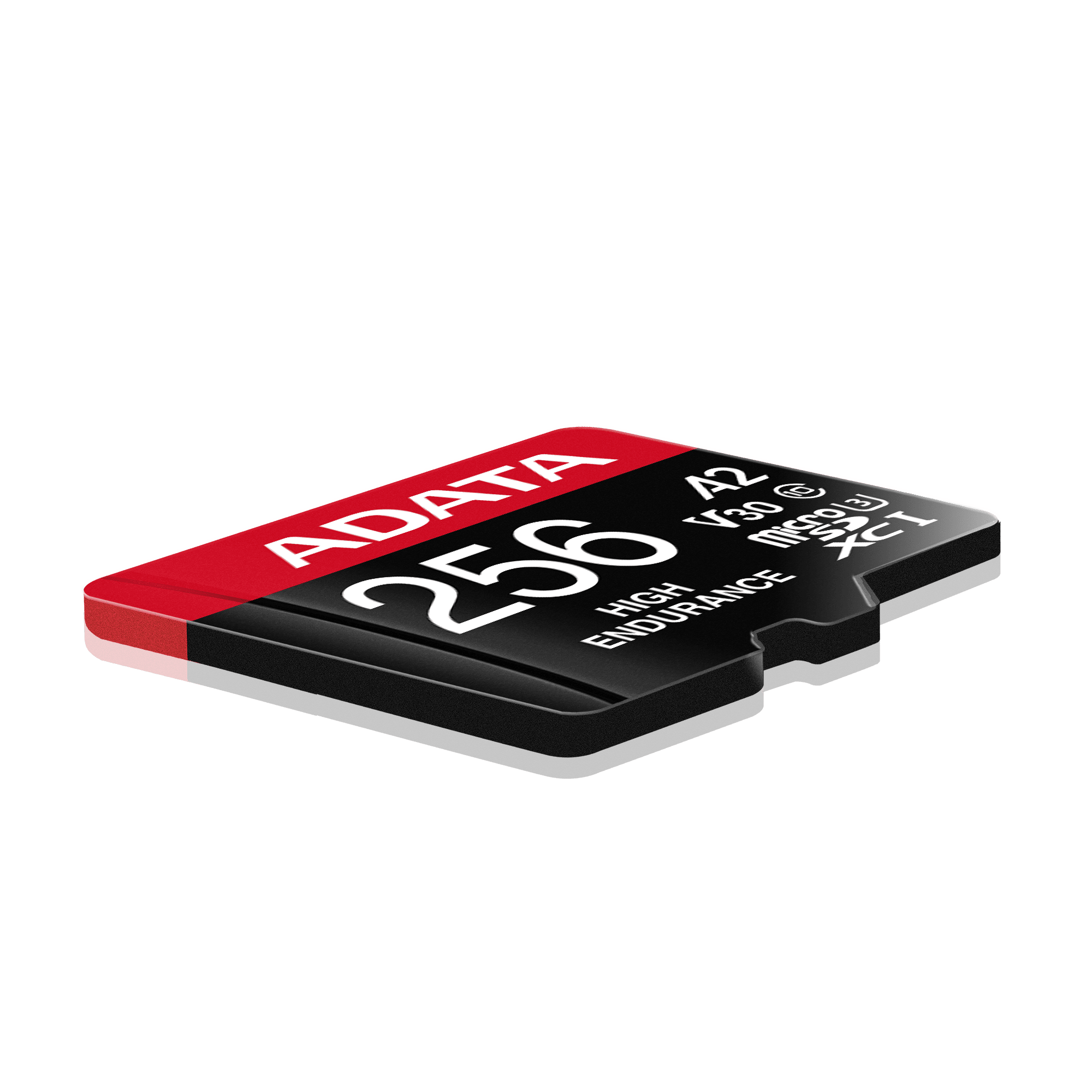 Carte microSDXC/SDHC UHS-I haute endurance--10