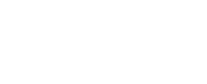 icon MNT VRR
