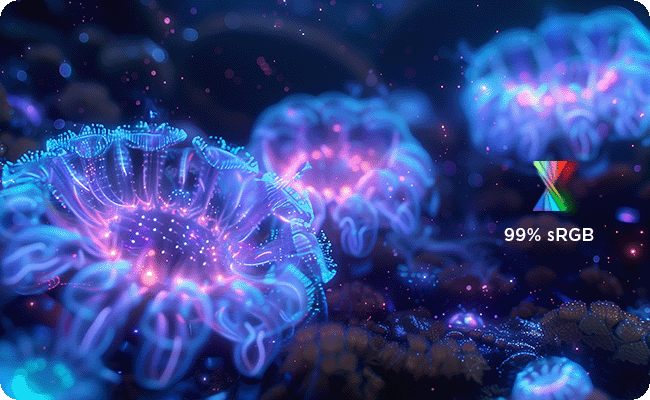 Une image sous-marine colorée de l'anémone de mer lumineuse montre les belles performances de couleur du moniteur.