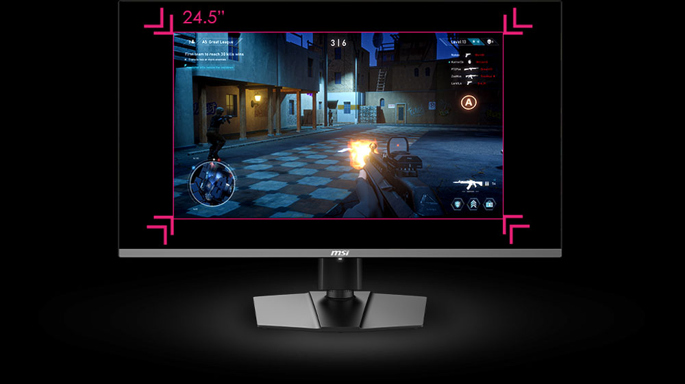 ASPECT RATIO OPTIONS 24.5