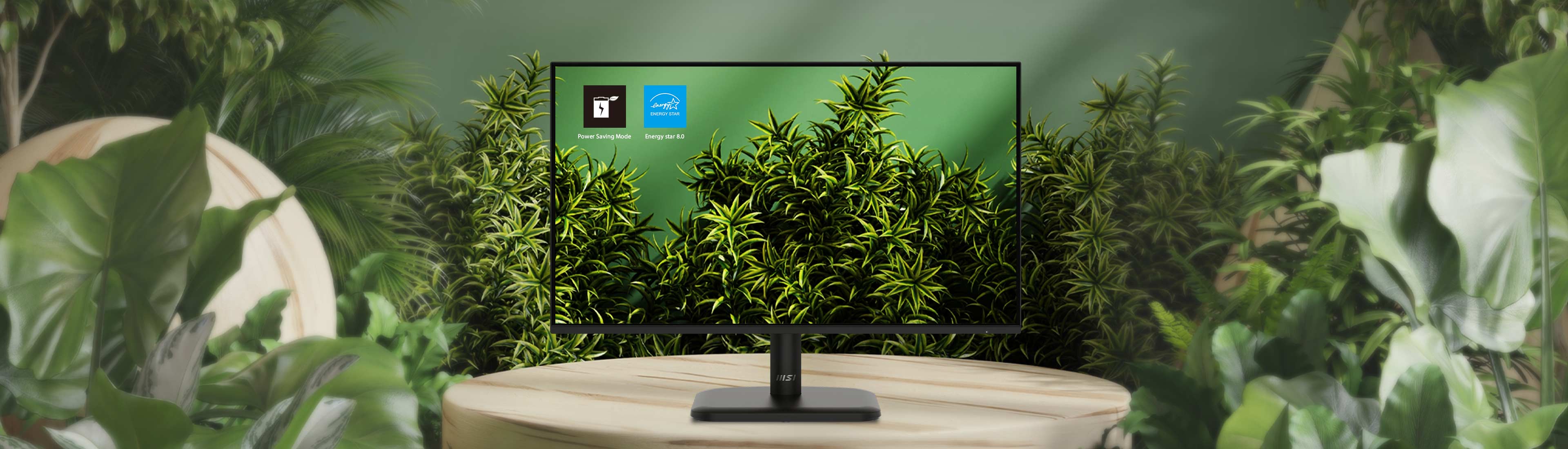 Économie d'énergie MSI Pro MP251L E2 