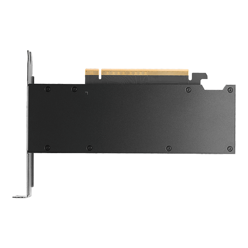 RTX-PRO-2000-Back.png