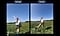Deux photos de portrait d’une jeune femme au milieu d’une prairie, sur fond de ciel bleu, prises avec l’appareil photo grand angle et l’appareil photo ultra grand angle du Galaxy A57 5G. Les détails de la photo sont optimisés avec une qualité améliorée grâce à la segmentation par IA. En bas apparaît une icône d’appareil photo avec le texte «&nbsp;Capturée par Galaxy A57 5G&nbsp;» et le hashtag Galaxy.