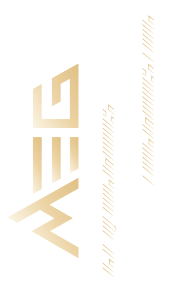 MEG series logo