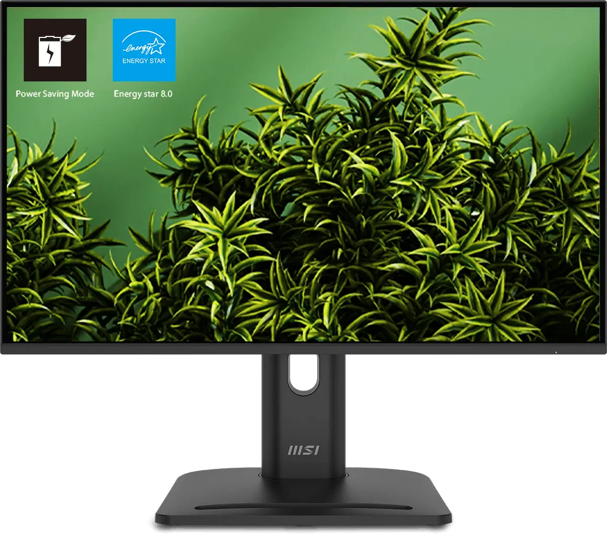 Moniteur MSI