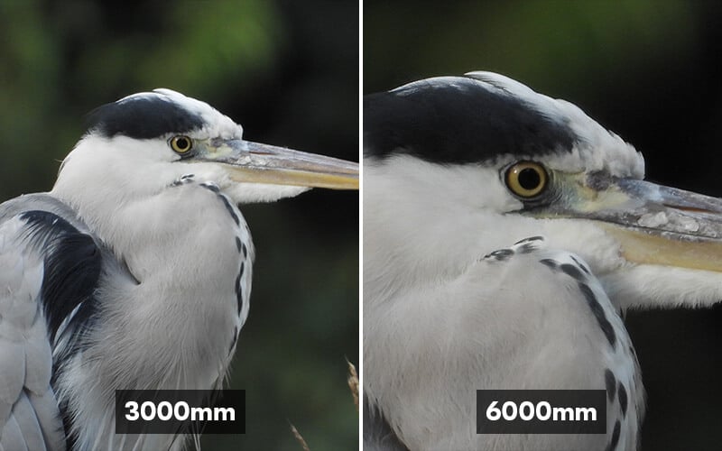 6000mm.jpg
