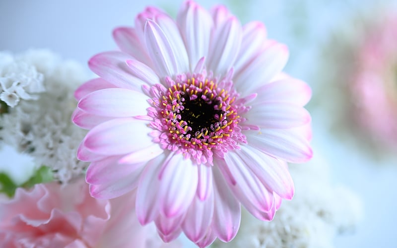 the-smallest-details.jpg