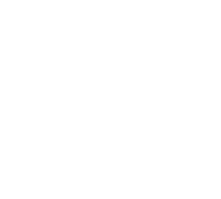 PCIe 5.0 icon