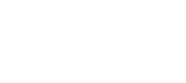 PCIe 5.0 slot icon