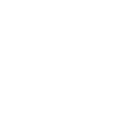 PCIe 5.0 icon