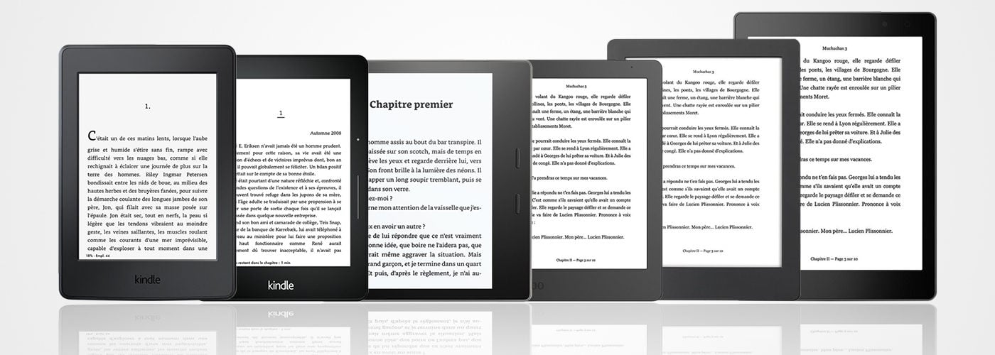 Liseuse de livre électronique E-book