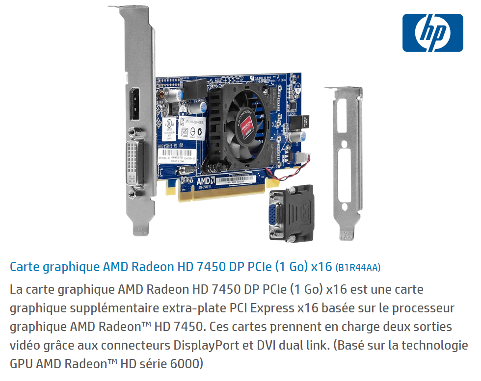 Acheter Carte graphique AMD Radeon HD 7450 DP PCIe (1 Go) x16 (B1R44AA) Maroc