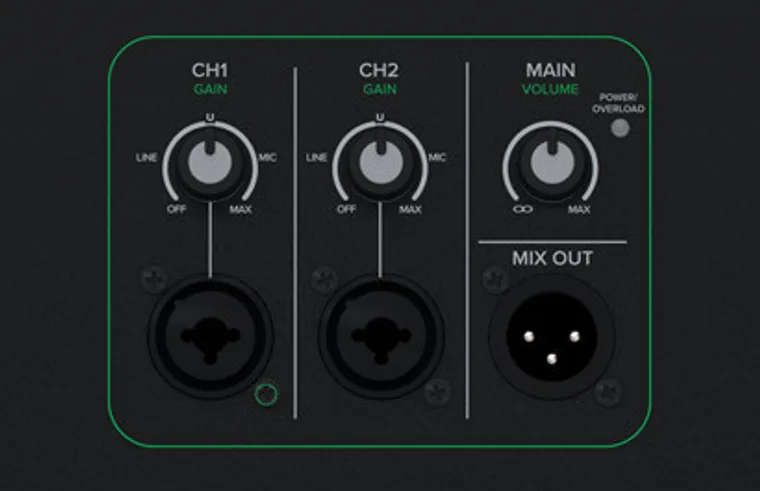 Panneau arrière de la Thrash212 : gains des voies 1 et 2 avec repères Line et Mic, volume principal, deux prises combo et sortie Mix Out XLR