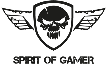 Spirit Of Gamer