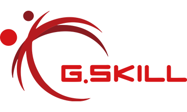 G.Skill